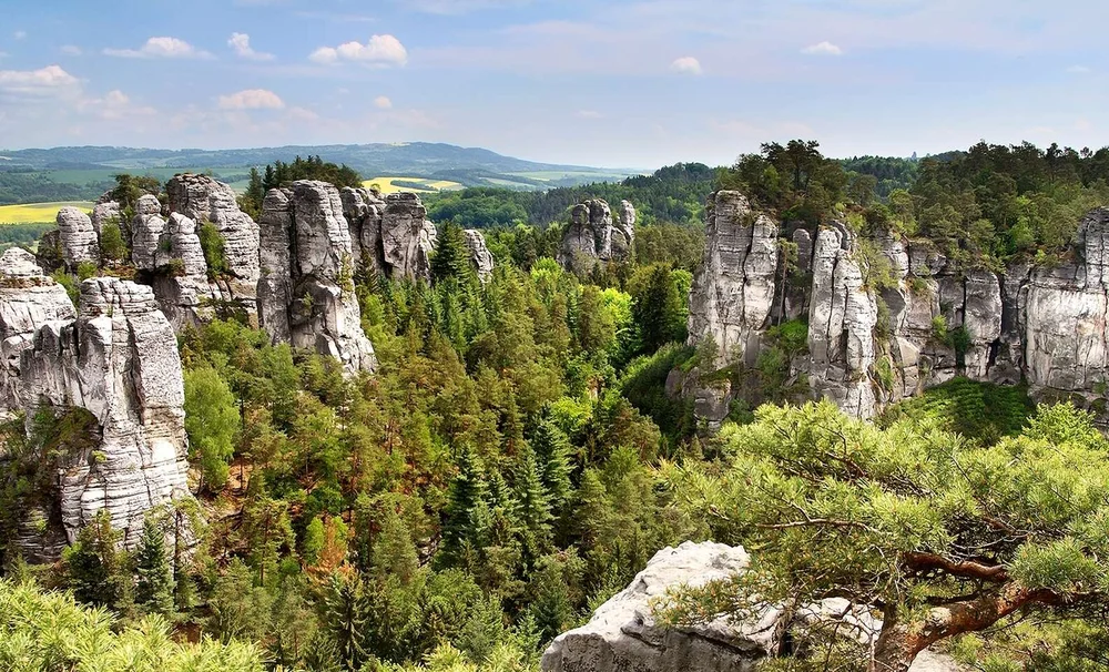 Что такое чешская скалка