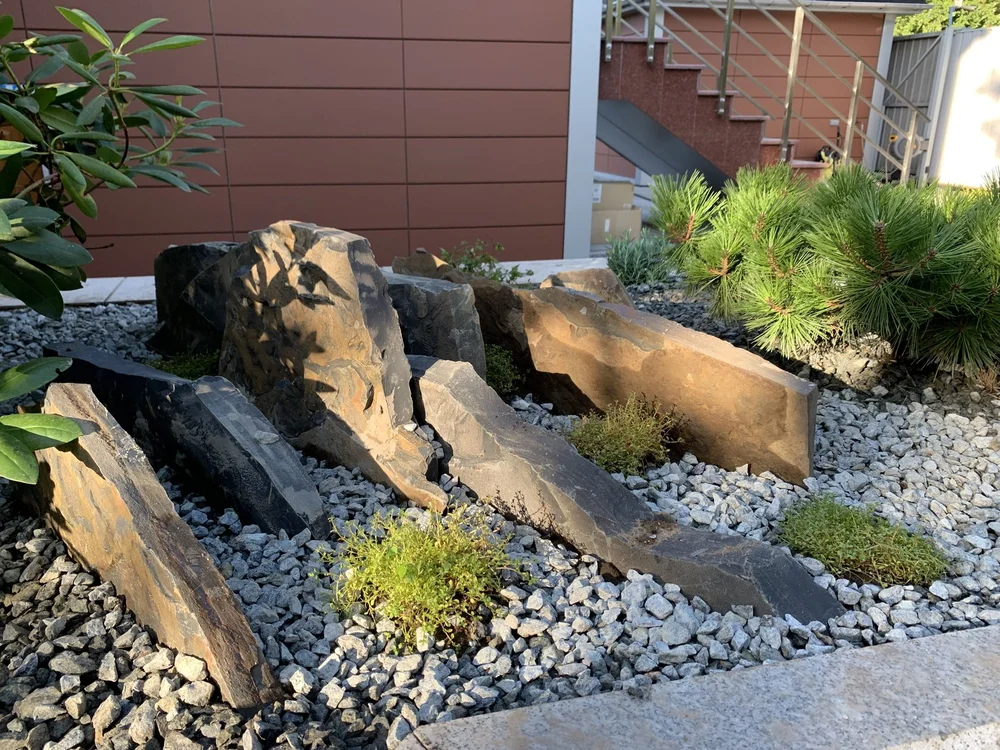 Чешская скалка в ландшафтном дизайне