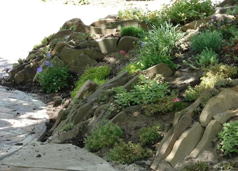 Растения для чешской скалки