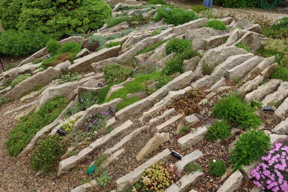 Какие растения выбрать для оформления чешской скалки