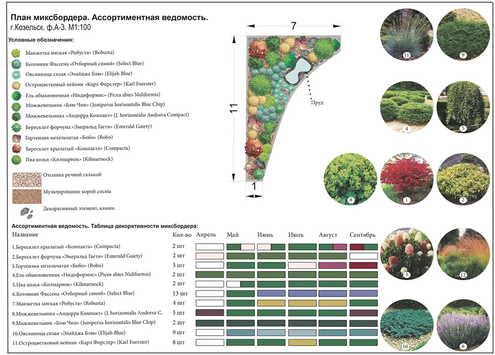 План миксбордеров