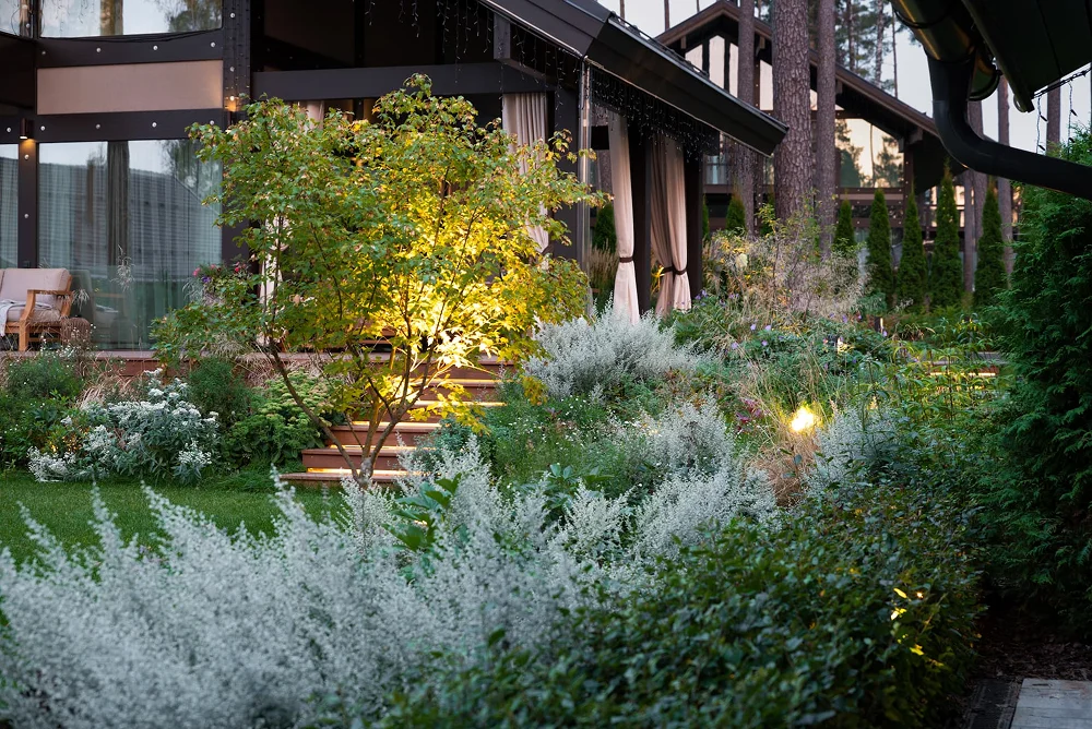 Ошибки при составлении дендроплана