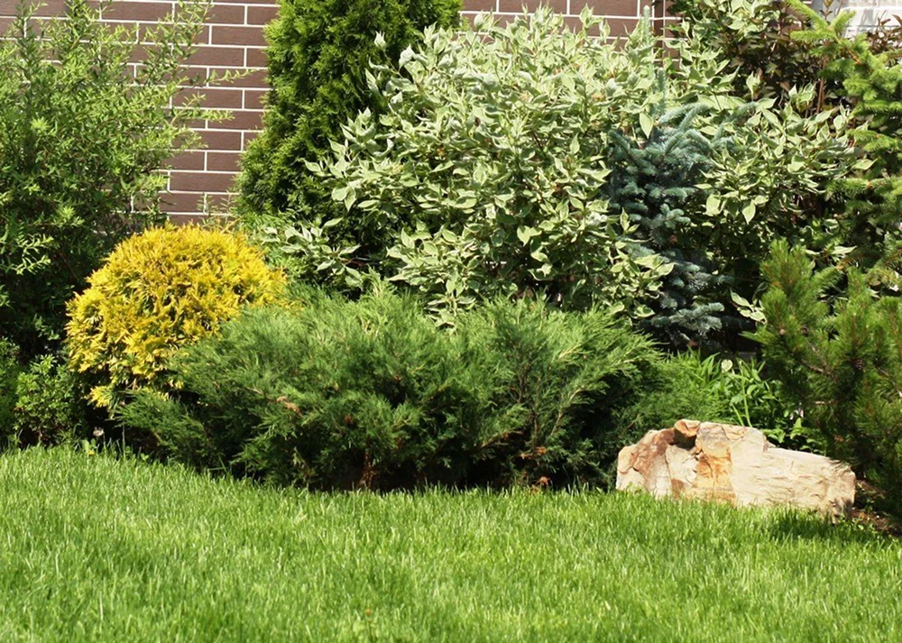 Групповая посадка