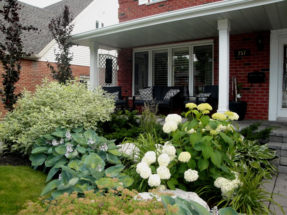 Декоративный акцент в посадке