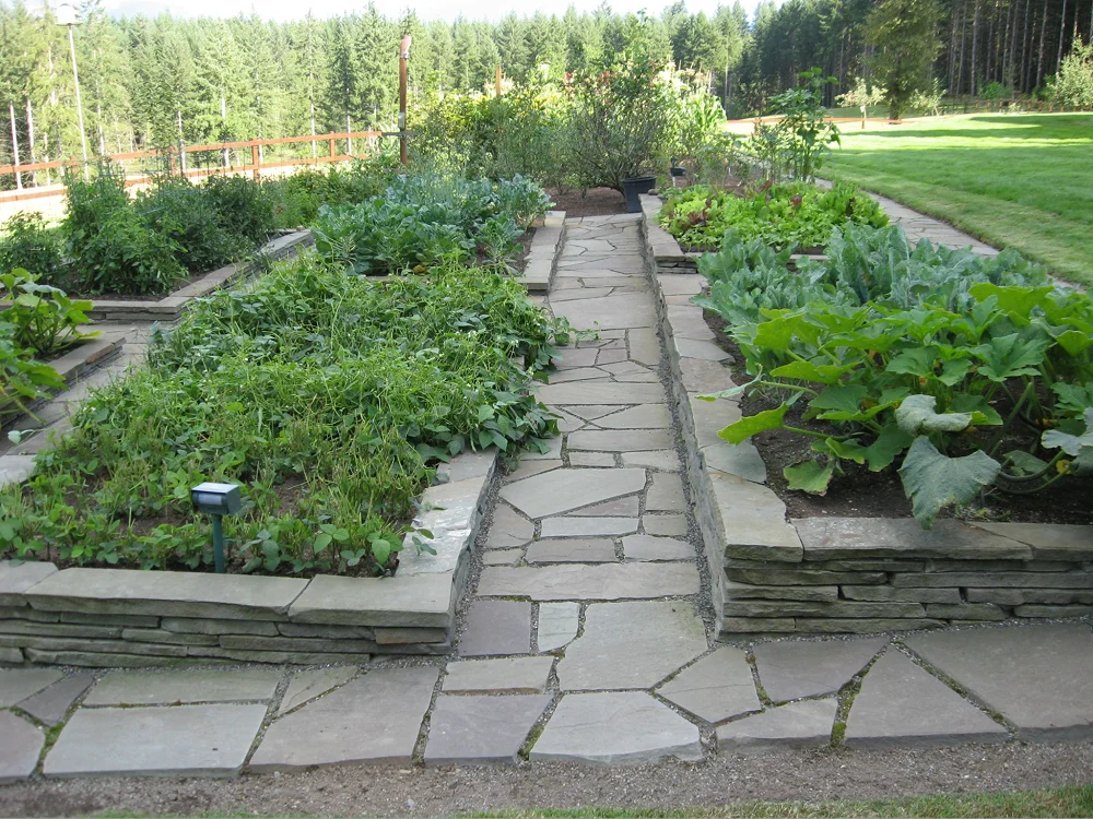 дорожки между грядками