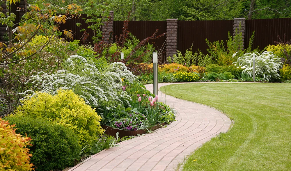 миксбордер