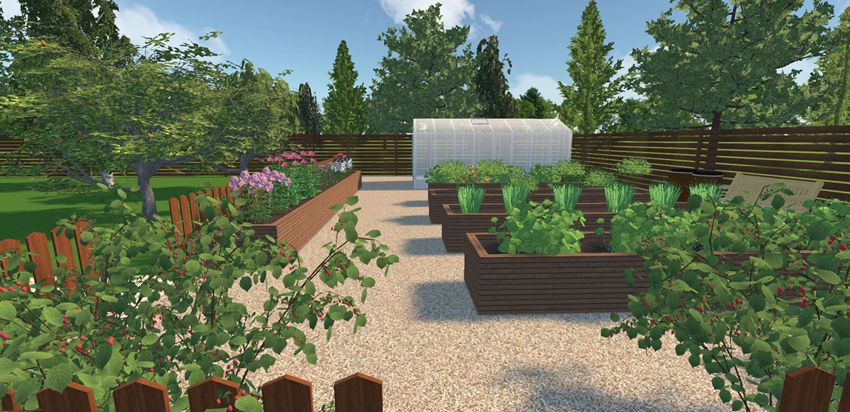 Пряные травы на огороде