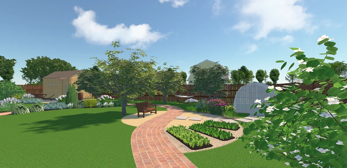 виды пряных трав для огорода