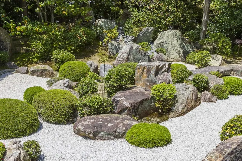 Рокарий в ландшафтном дизайне сада: правила создания, выбор камней и растений + инструкция
