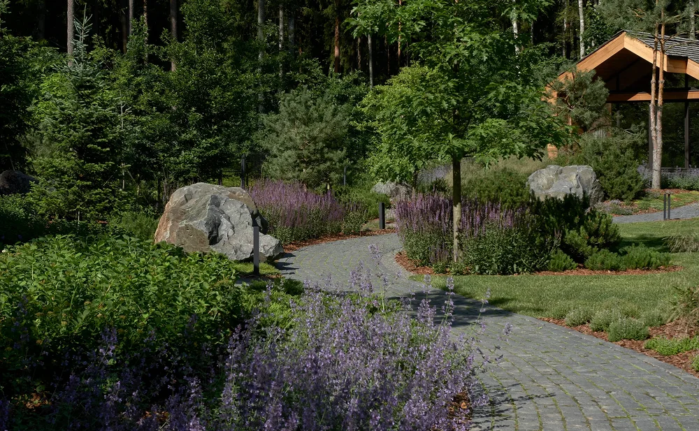 плавные изгибы