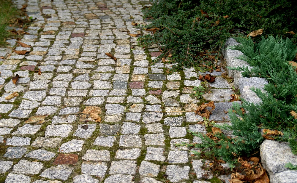 Дорожка из мелкого камня