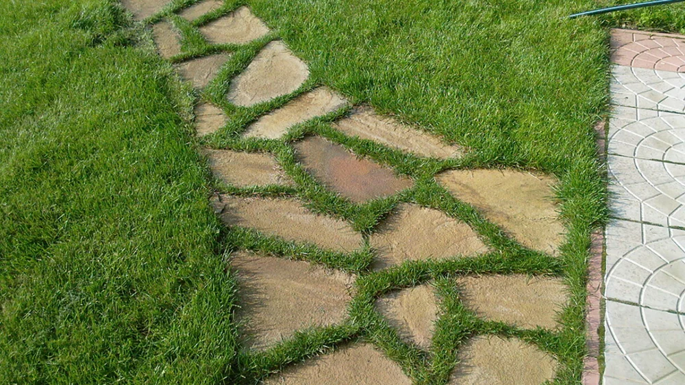 тропинка с красивой геометрией