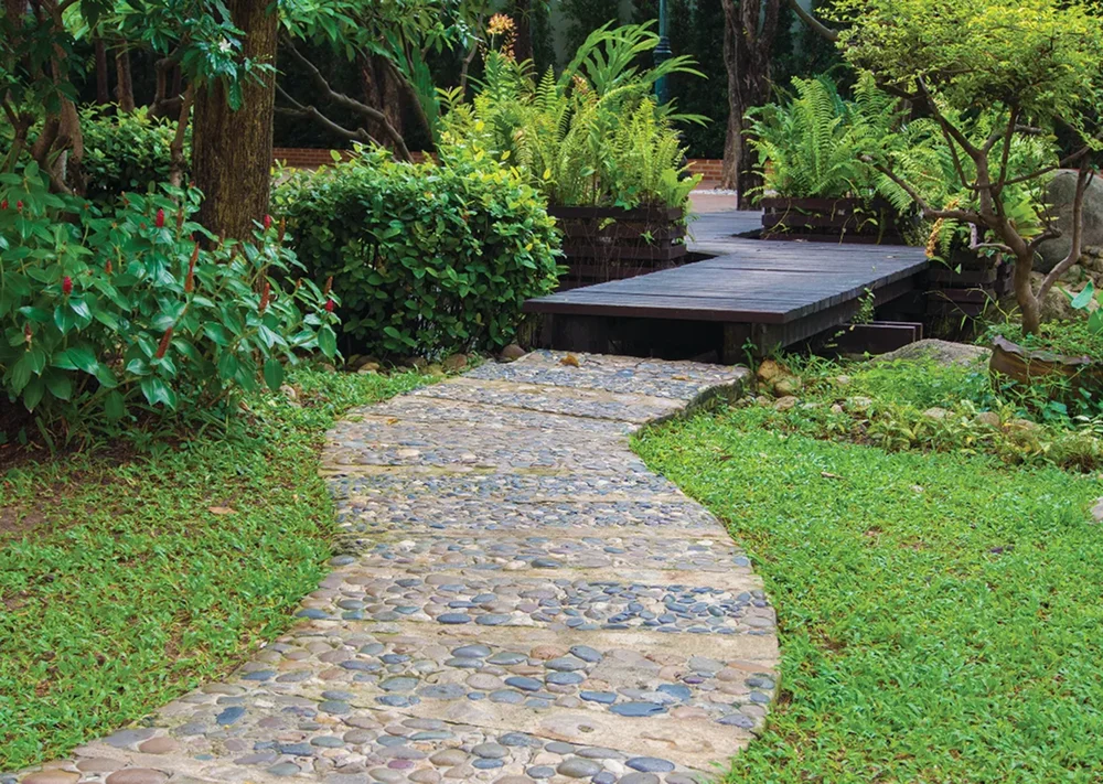 тропинка с узором