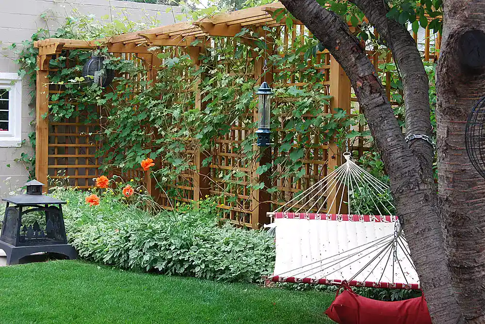 Дееревянная шпалера в ландшафтном дизайне вашего сада