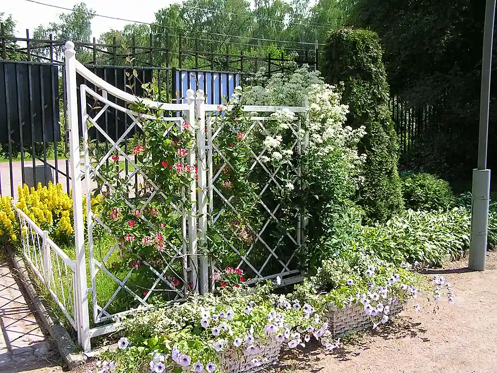 Креативные шпалеры для создания изгородей на садовом участке